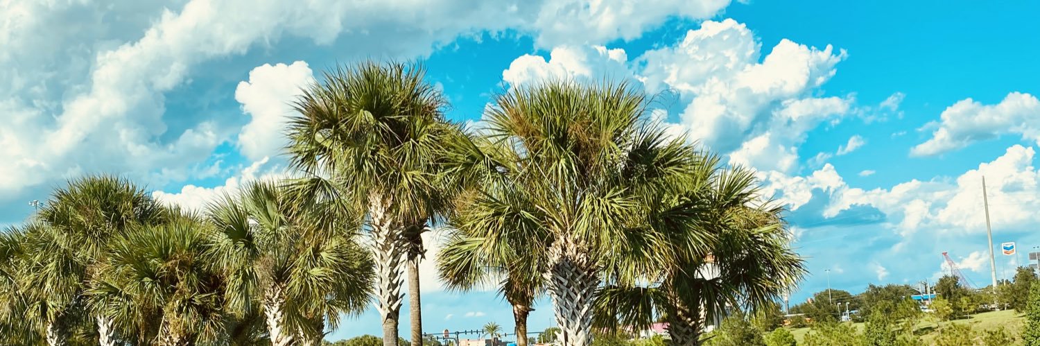 rachelbaum2108's profile banner image