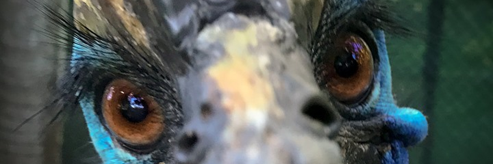 jocal3's profile banner image