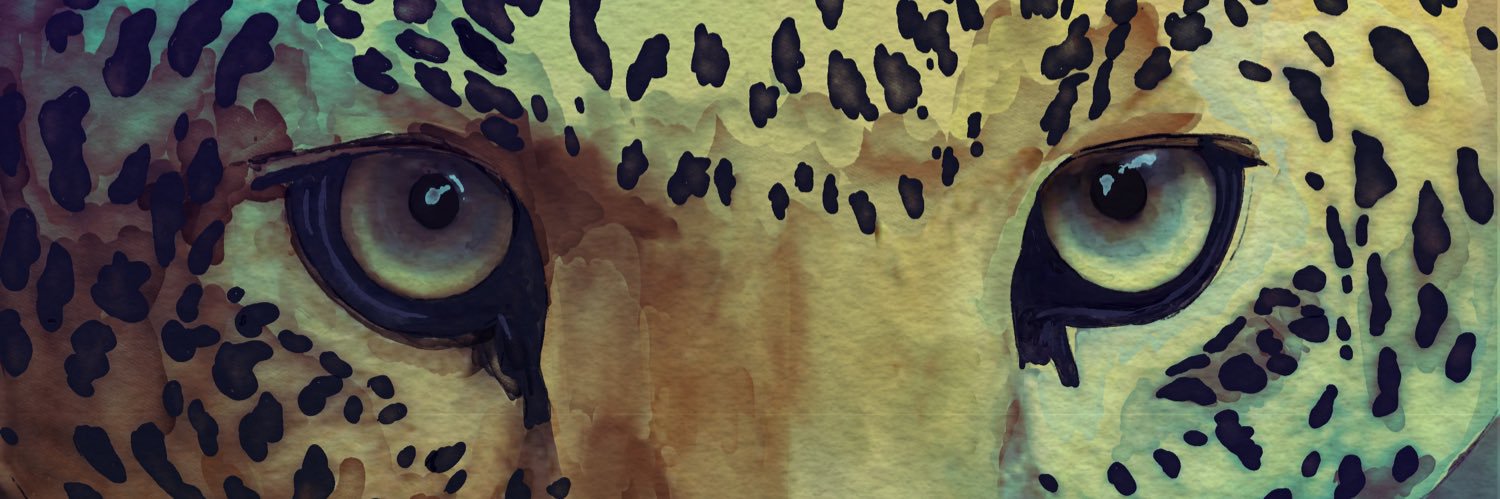 Davuu🐢's banner