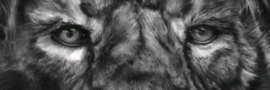 freemanleon's profile banner image