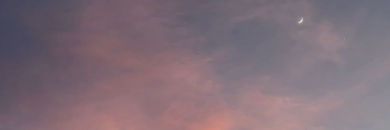 BobToronja29's profile banner image