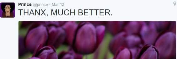 MarlyLew's profile banner image
