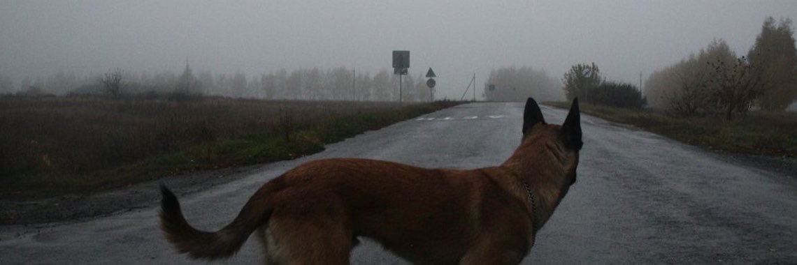 Whiffofthehound's profile banner image