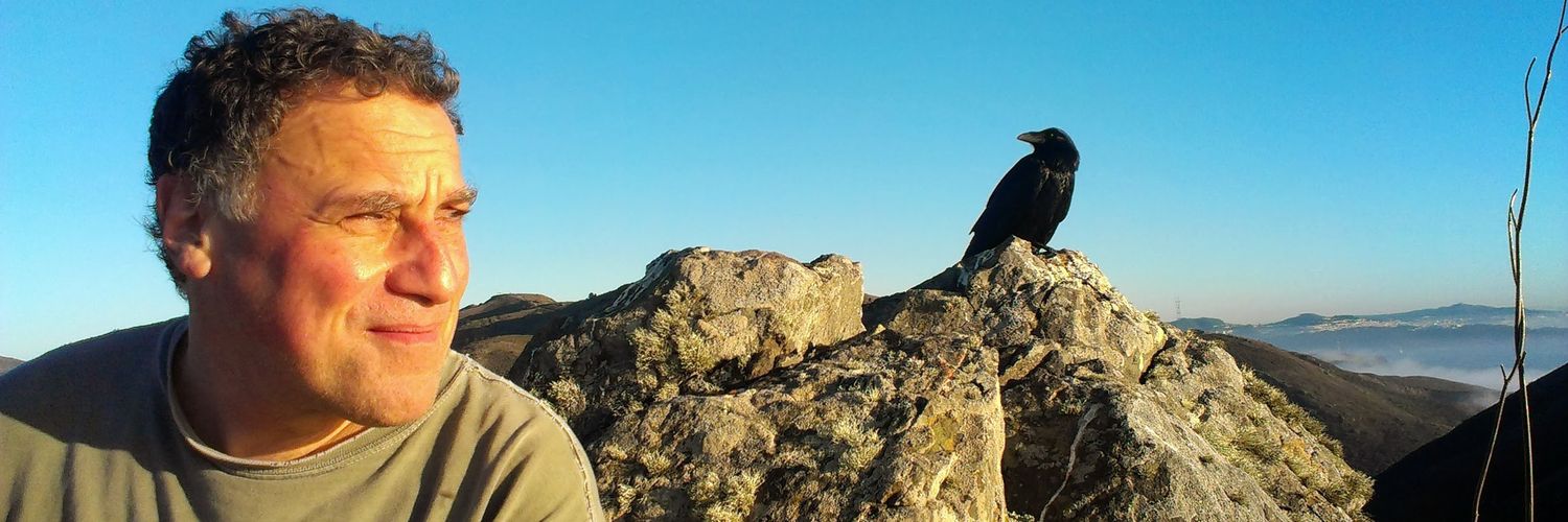SunsetSausalito's profile banner image