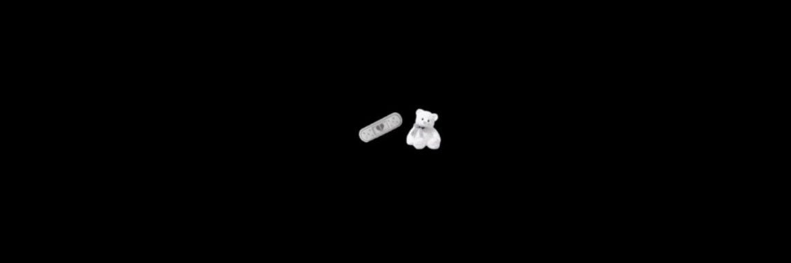 petalsmuse's profile banner image