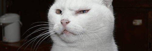 PTSDisco's profile banner image