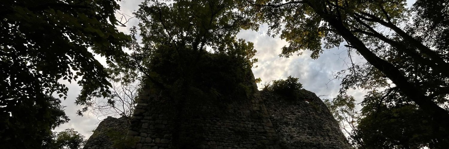 witchycutieee's profile banner image