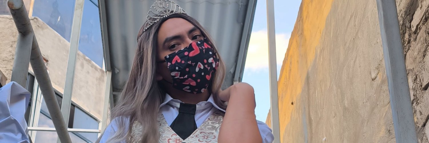 RaysaFemboy's profile banner image