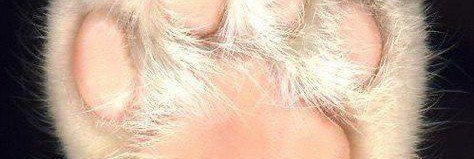 ANIYYA_KNOTTS0's profile banner image