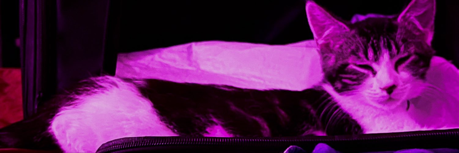 Vixinworkz's profile banner image