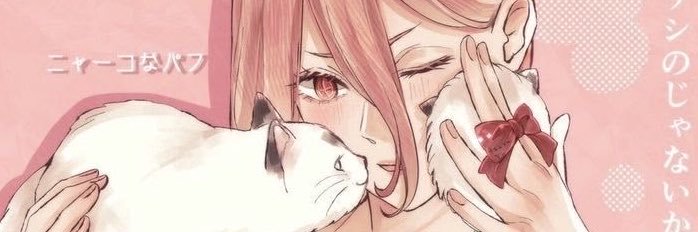 SquishyLychee's profile banner image