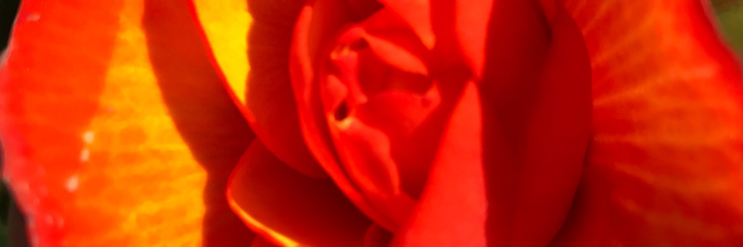 reddesire's profile banner image