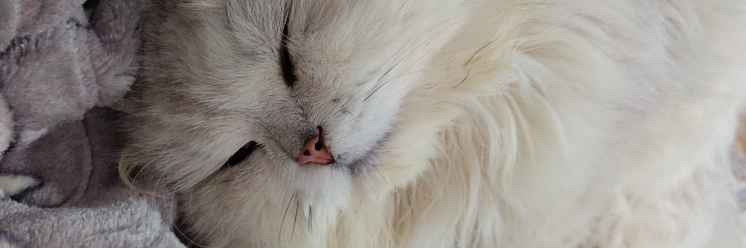Balepsfkg's profile banner image