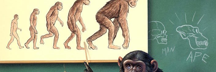 _le_monke's profile banner image