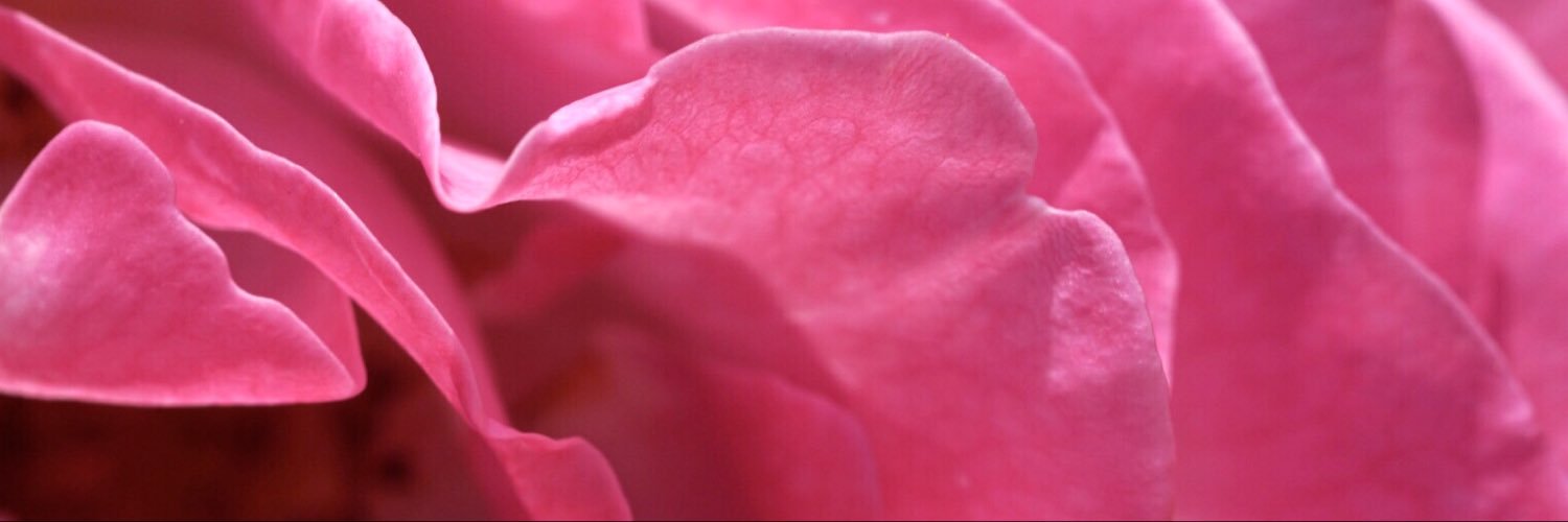 5dupl's profile banner image