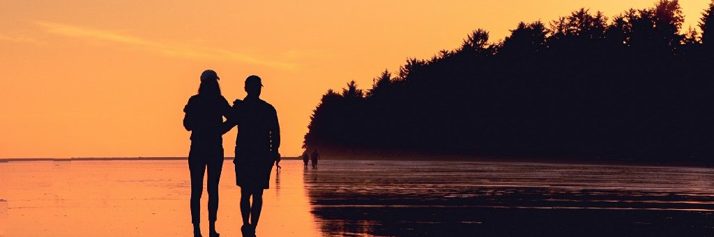 hannah francis banner