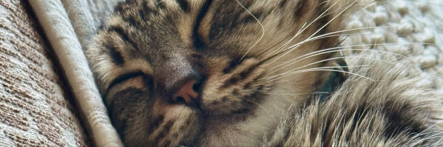 DreaminginNash's profile banner image