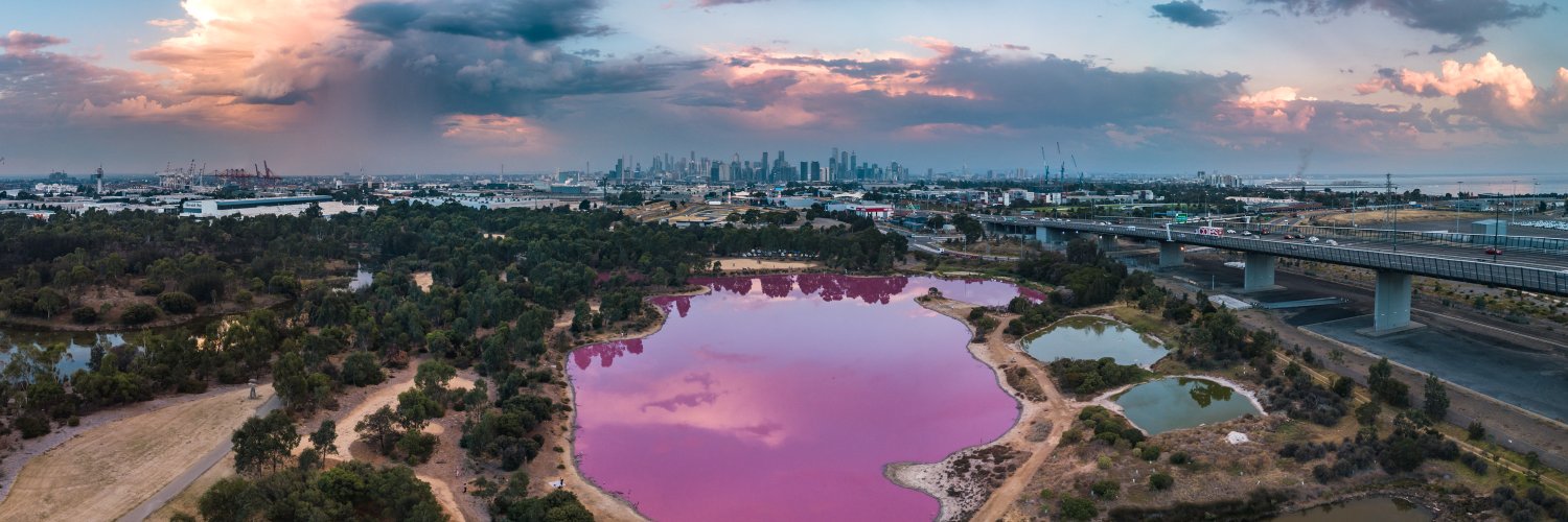 Steven Wright banner