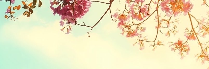 H7aadlol's profile banner image