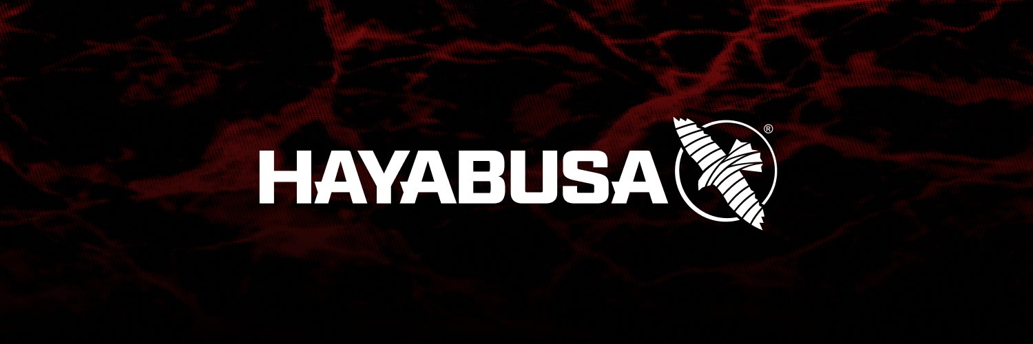 Hayabusa banner