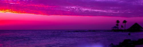 vicky_garcia09's profile banner image