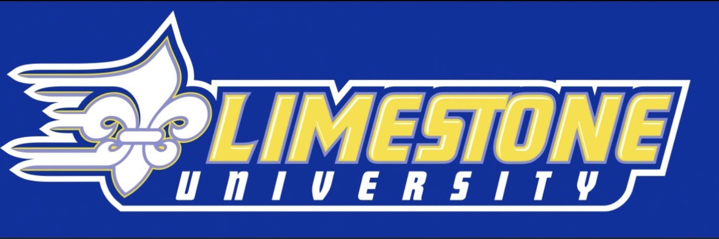 Limestone Saints banner