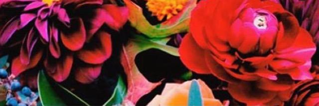 CassMc_'s profile banner image