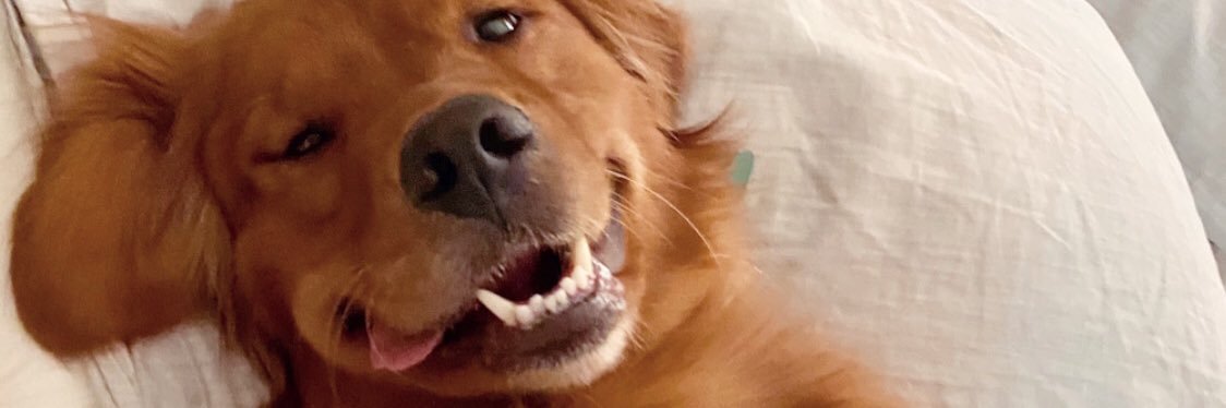 haleyputt's profile banner image