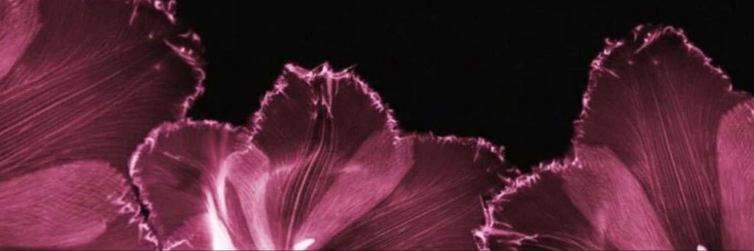 cherryyuki100's profile banner image