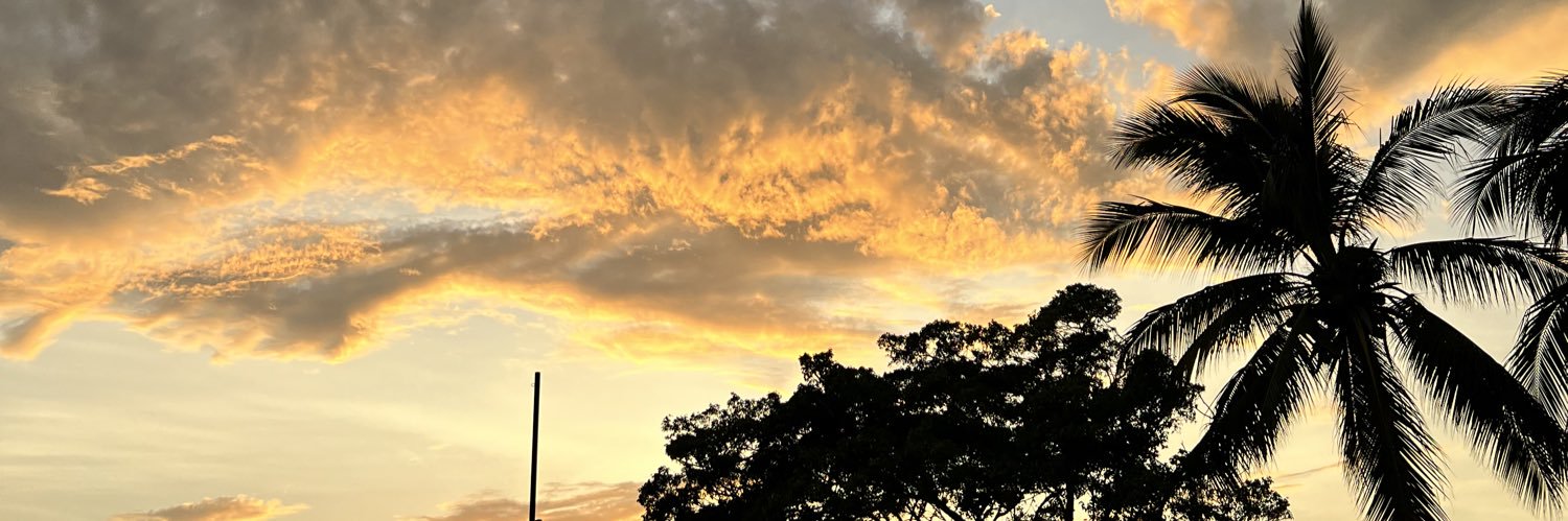 dmonti__'s profile banner image