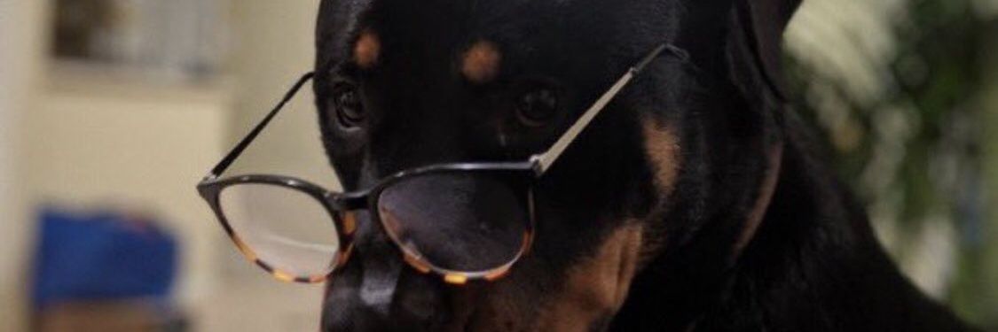 ChaiseJ01's profile banner image