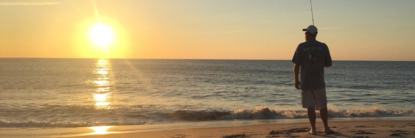 dbowlby's profile banner image