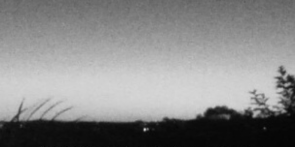 laura_ofelia's profile banner image