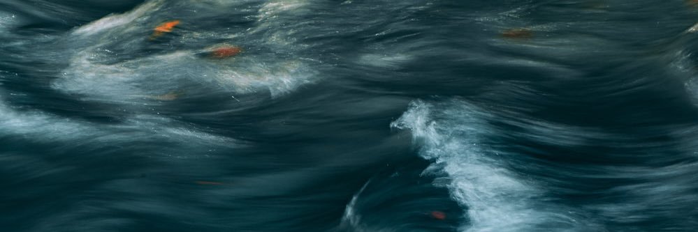 mohdismail's profile banner image
