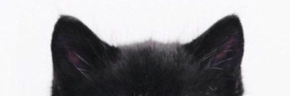 Dildanava's profile banner image
