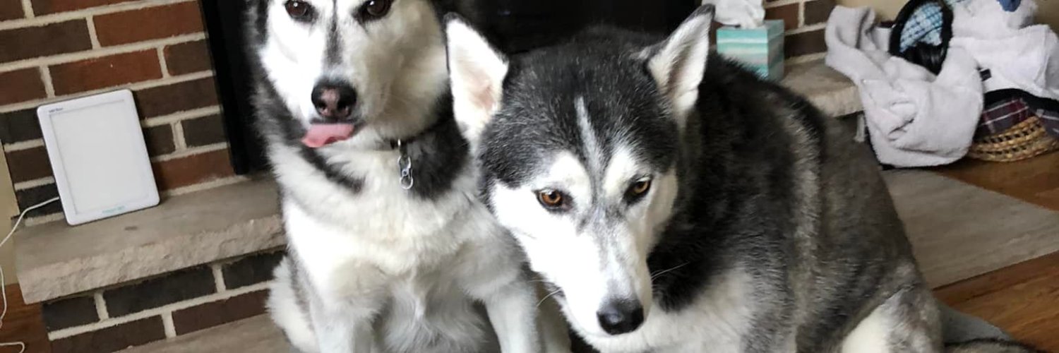 madisonseattle's profile banner image