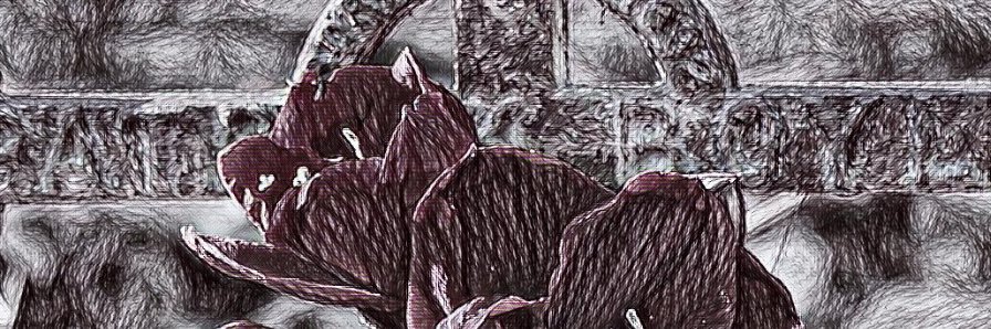 robinlcole's profile banner image