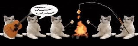 prettykittyXXD's profile banner image