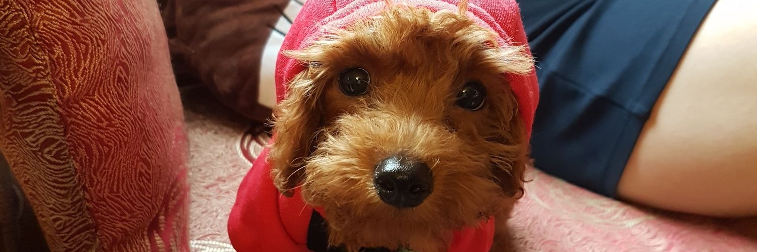 HyeMinPog's profile banner image