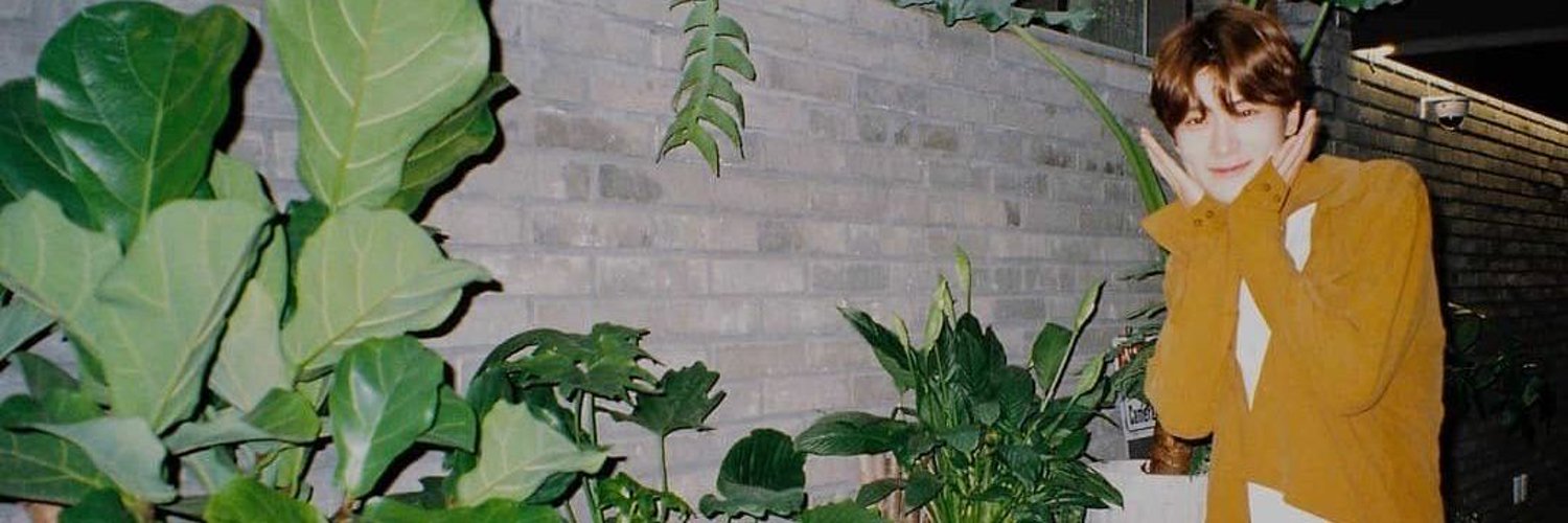 _liluli's profile banner image