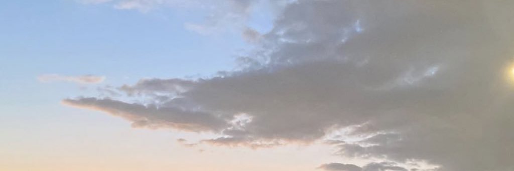s banner