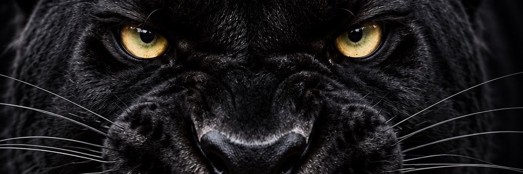 NovakinFc's profile banner image