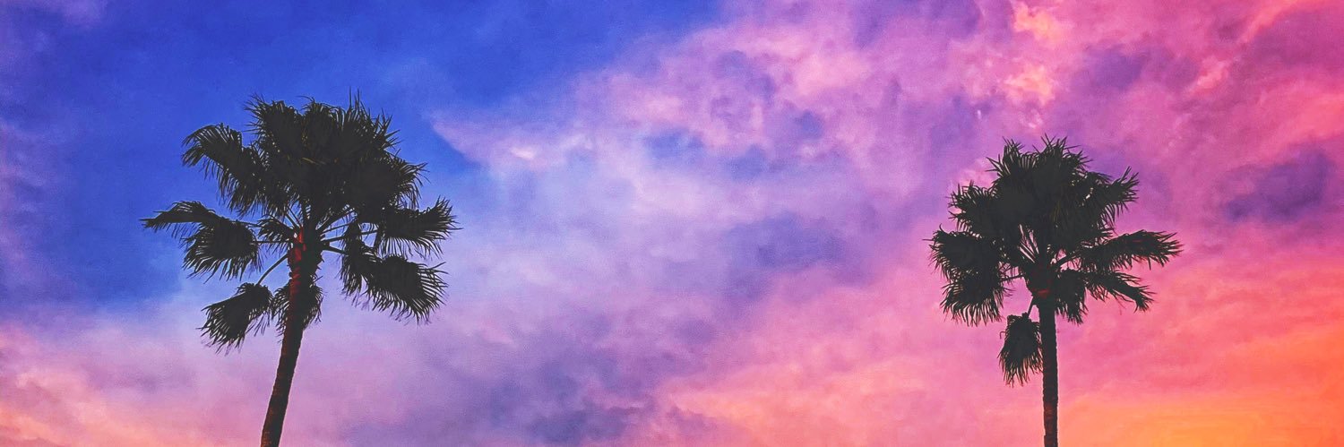 minkflamingos's profile banner image