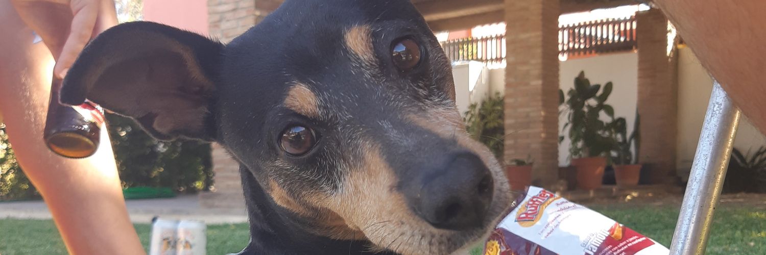 PepeMelou's profile banner image