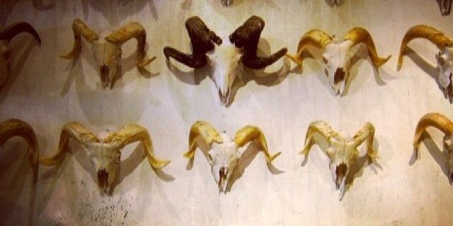 haggardasscorey's profile banner image