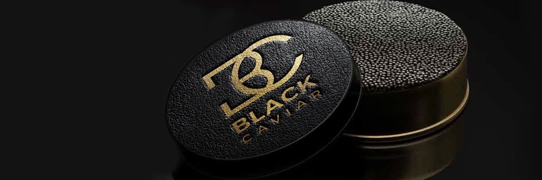 Troyquan banner