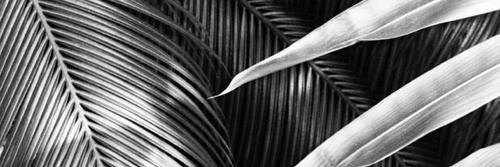 adelduca's profile banner image