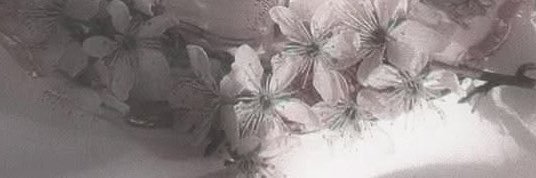 dzish_ed's profile banner image