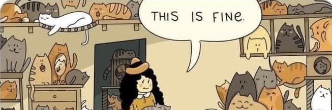 DSLgirl's profile banner image