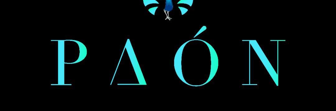 IamPAON's profile banner image